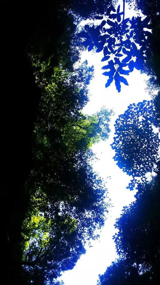 单间木屋逃脱